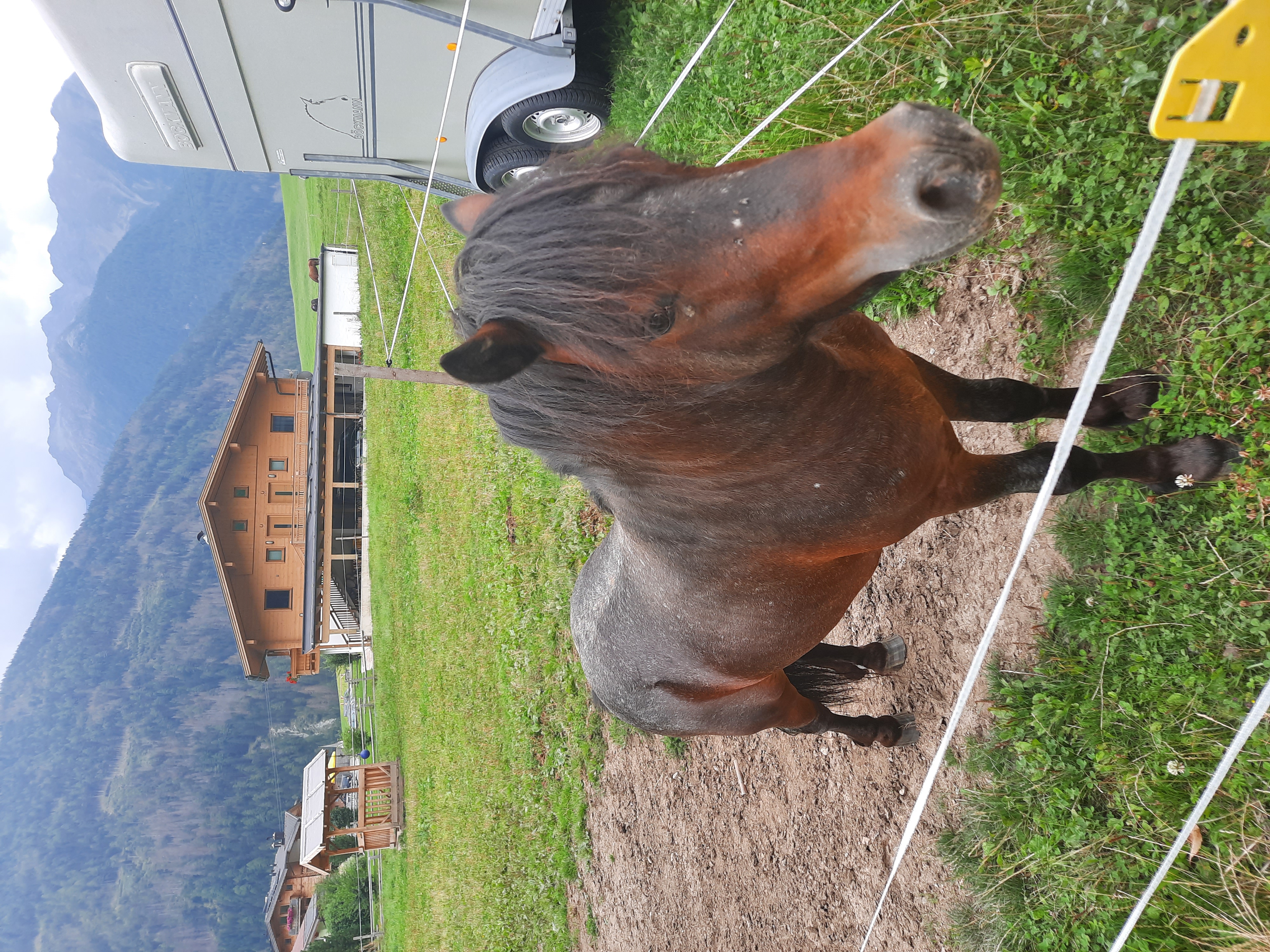 Urlaub auf dem Bauernhof - Art der Unterkunft: Ferienwohnung - Remptendorf - Moritz  - Obenfigerhof 