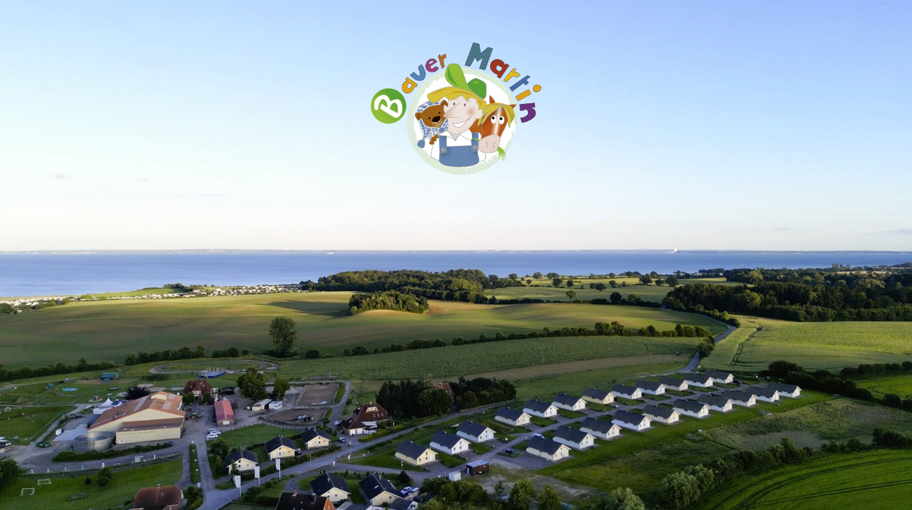 počitnice na kmetiji - Umgebung: Urlaub in den Feldern - Bauer Martin, Blick über den Hof auf die Ostsee - Bauer Martin | Ostsee Ferienhof Bendfeldt bei Grömitz