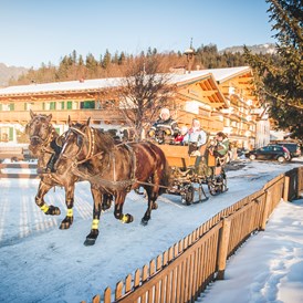 Ferien Bauernhof: Unsere Norika - Pferde ziehen im Winter den großen Schlitten durch die verschneite Landschaft. - Familotel Landgut Furtherwirt