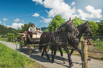 Ferien Bauernhof: Pferdekutschfahrt im Sommer - Familotel Landgut Furtherwirt