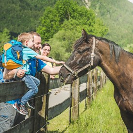Ferien Bauernhof: Unsere Kühe und Pferde können Sie im Sommer täglich auf der Weide besuchen. - Familotel Landgut Furtherwirt