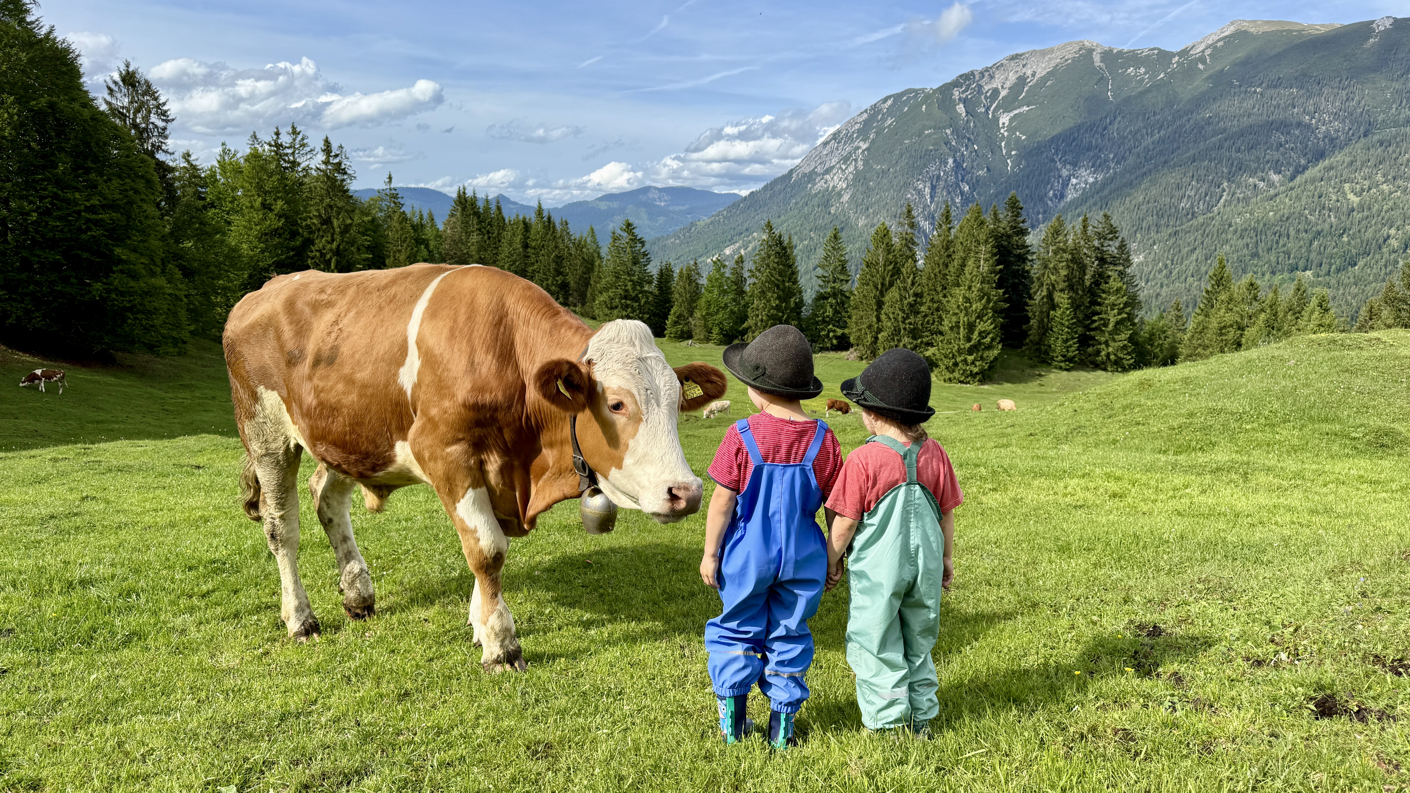 Stiedlhof Onze dieren Rundvlees