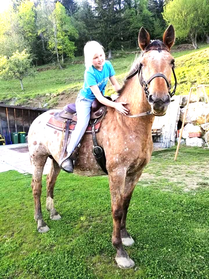 Slowenisches Traditionelles Gästehaus in Trlej Naše životinje Nezaboravno iskustvo s konjima za svakoga