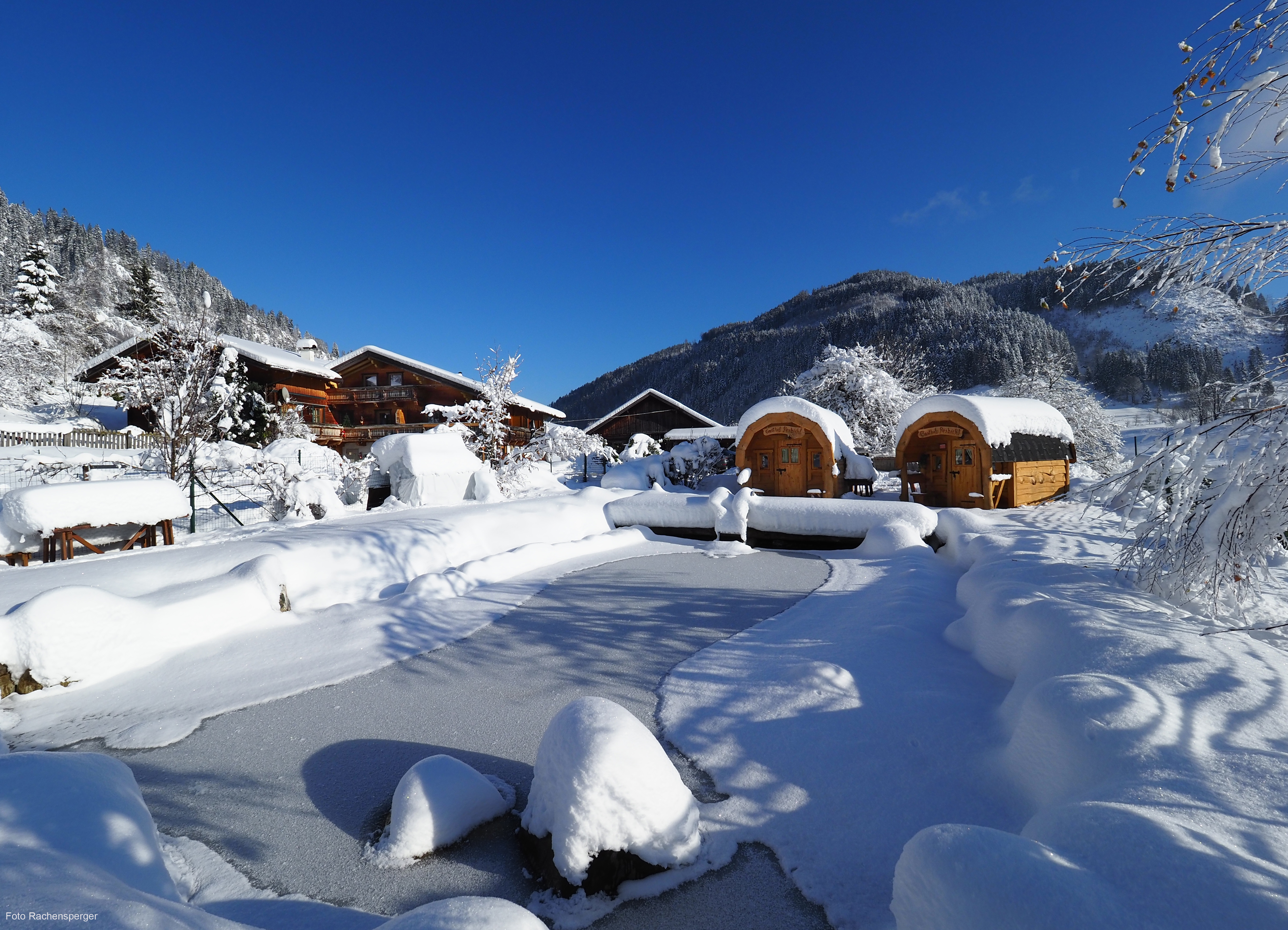počitnice na kmetiji - Streichelzoo - Avstrija - Gasthof Pesbichl  - Gasthof Pesbichl