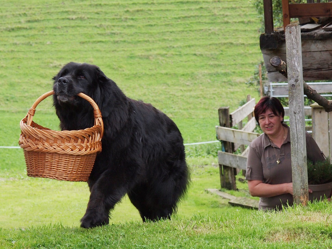 Gasthof Pesbichl hôte Michaela Hettegger